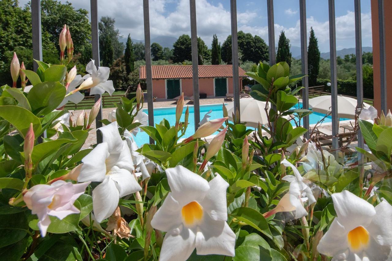 Relais Villa Isabel Pietrasanta Bagian luar foto